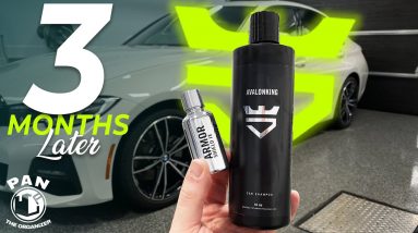 AvalonKing Armor Shield IX : 3 MONTHS UPDATE !!