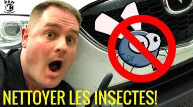 Comment enlever les INSECTES sur une voiture?  FACILE !!