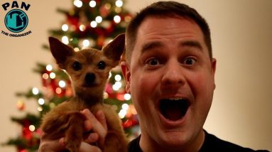 HAPPY HOLIDAYS AND HAPPY NEW YEAR !!!