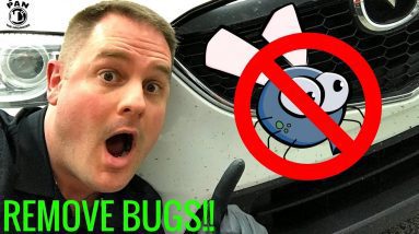 HOW TO REMOVE BUGS FROM A CAR: SUPER EASY !!!