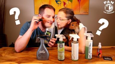 Quels désodorisants pour voiture les FEMMES aiment-elles?