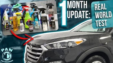 ONE MONTH UPDATE : Real World Mega Test with 20 different paint protectants!