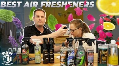 What are the best car air fresheners? Experiment with my girlfriend!
