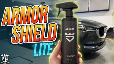 NEW! AvalonKing Armor Shield Lite : Ceramic Spray Made EASY!