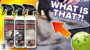 How To Clean Nasty Carpets The EASY WAY - P&S Cleaning System