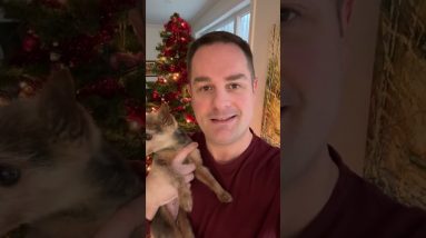 New Year's Message From Pan! #shorts