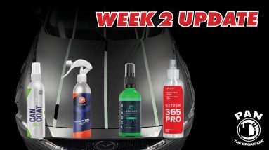 Battle Of Ceramic Spray Coatings: 2 week UPDATE!