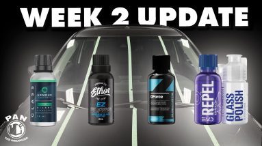 Glass Coatings Battle: 2 week UPDATE!