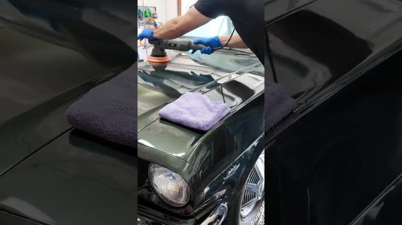 This Spray Polish Brings Old Paint Back 😳