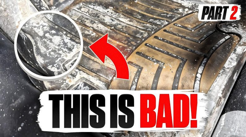 Winter Interior Detail: Remove Salt, Grime & Refresh Your Car (Part 2)